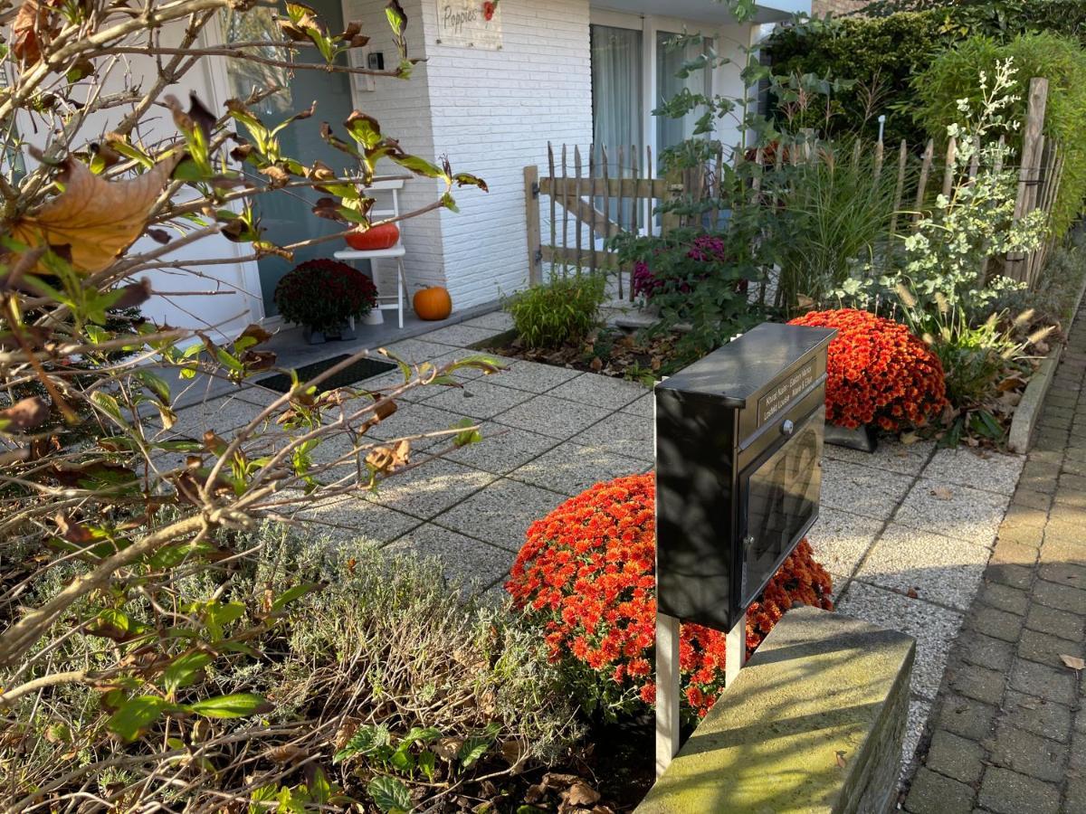Guesthouse Poppies , Free Parking Ostenda Zewnętrze zdjęcie